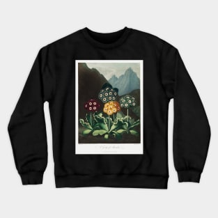 A group of Auriculas Crewneck Sweatshirt